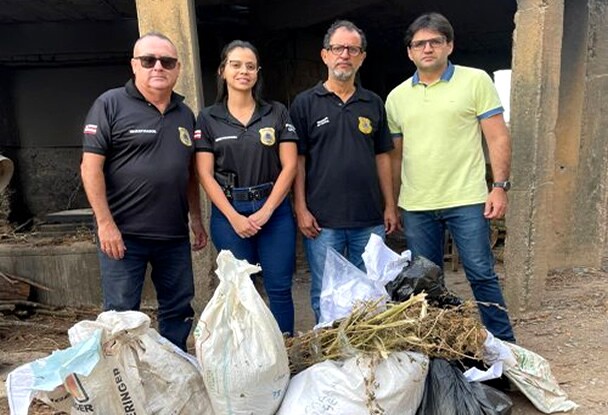 Polícia Civil Realiza Incineração de Drogas em Euclides da Cunha com Foco na Segurança Pública